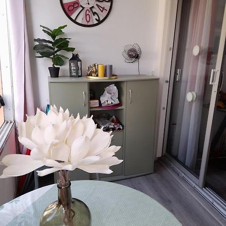 Studio Cabine Avec Loggia Agde Bagian luar foto